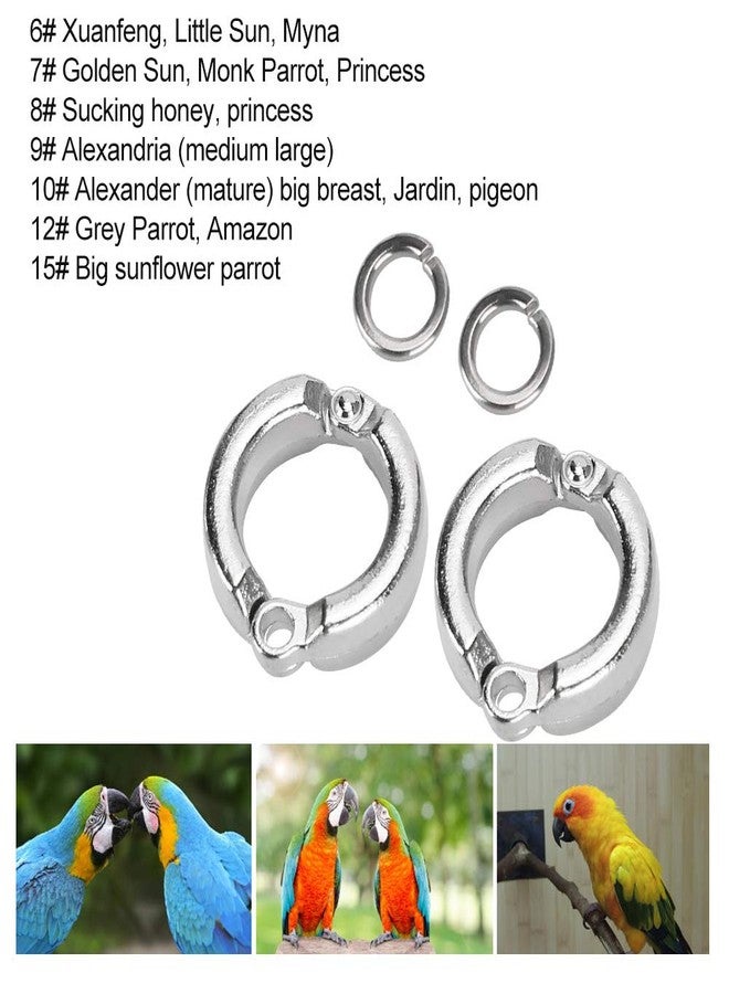 EVTSCAN Bird Foot Ring, 10Pcs Bird Parrots Leg Ring Outdoor Fly Training Activity Opening Clip Accessories(6) - Image 5
